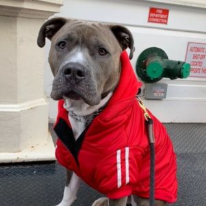 Meet your Posher, Pj